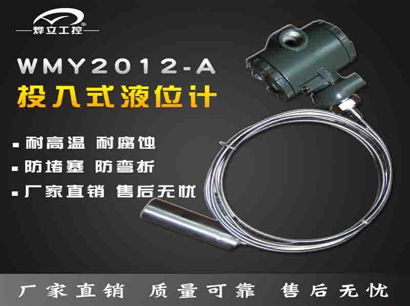 wmy2012投入式液位計